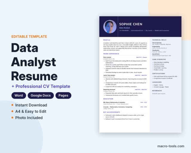 Data Analyst resume template – Word CV