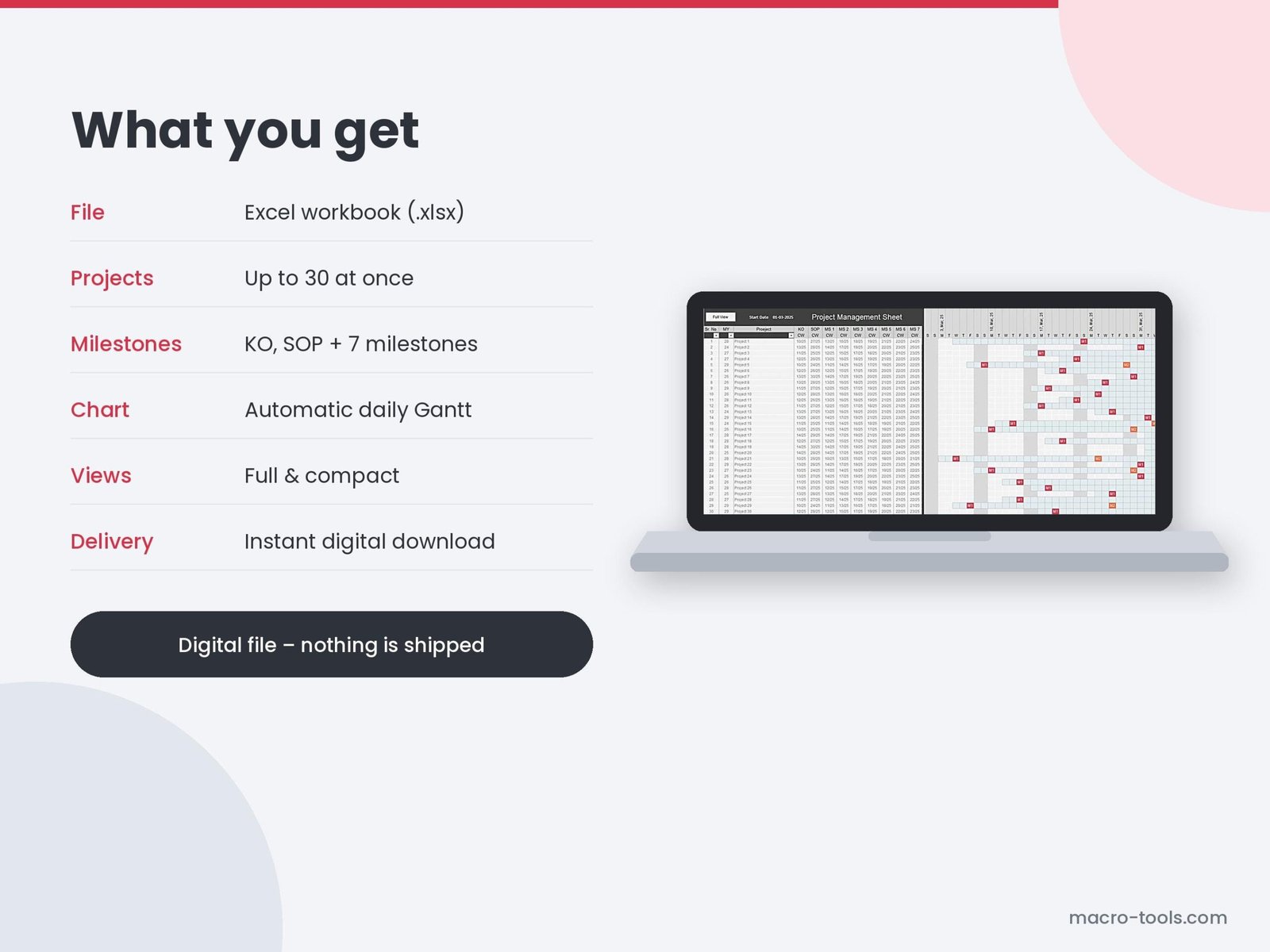 Project Milestone Tracker – Excel Gantt Chart for Multiple Projects - Image 6